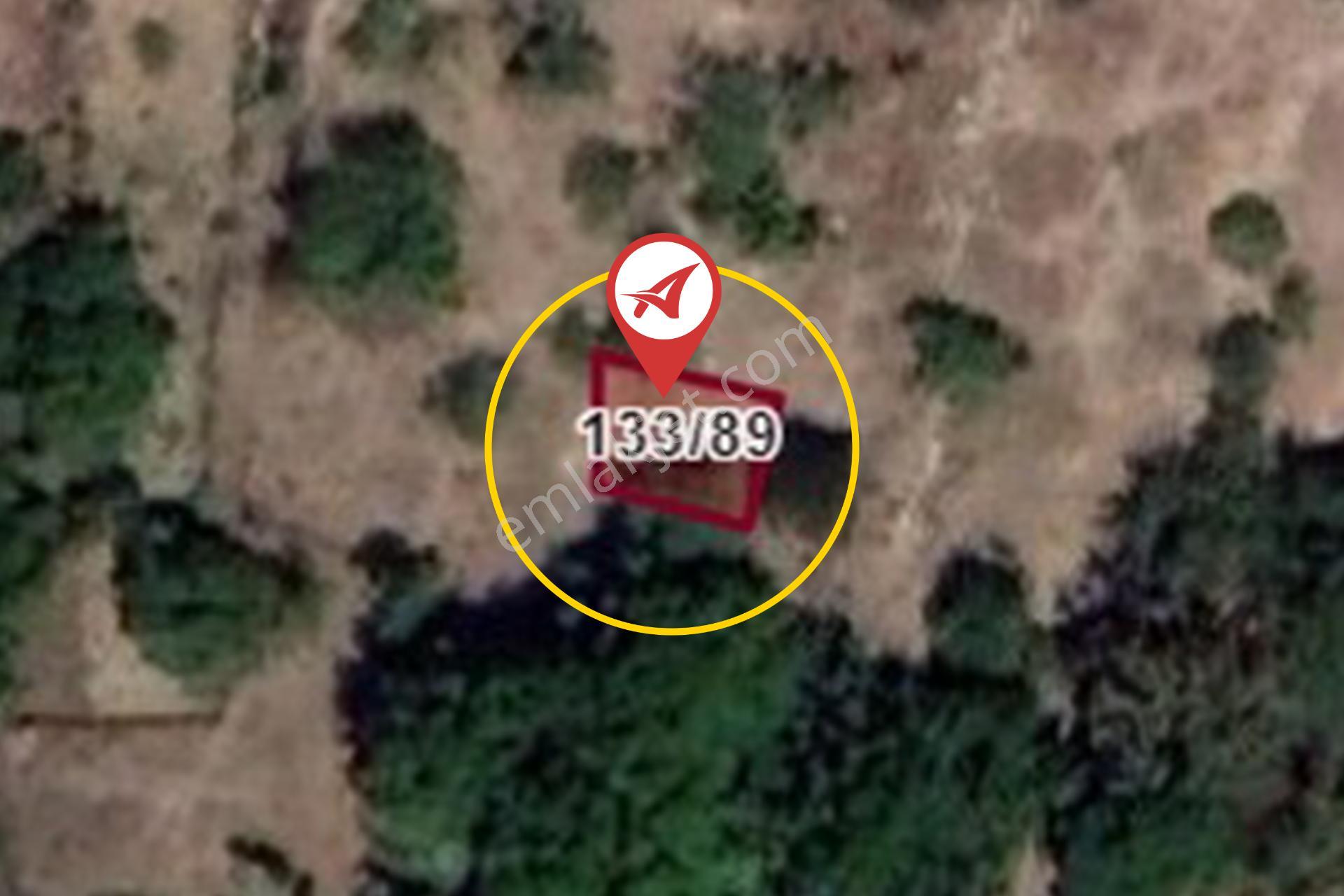 Bilecik-söğüt-dudaş Satılık 51m2 Bahçe - Görsel 10