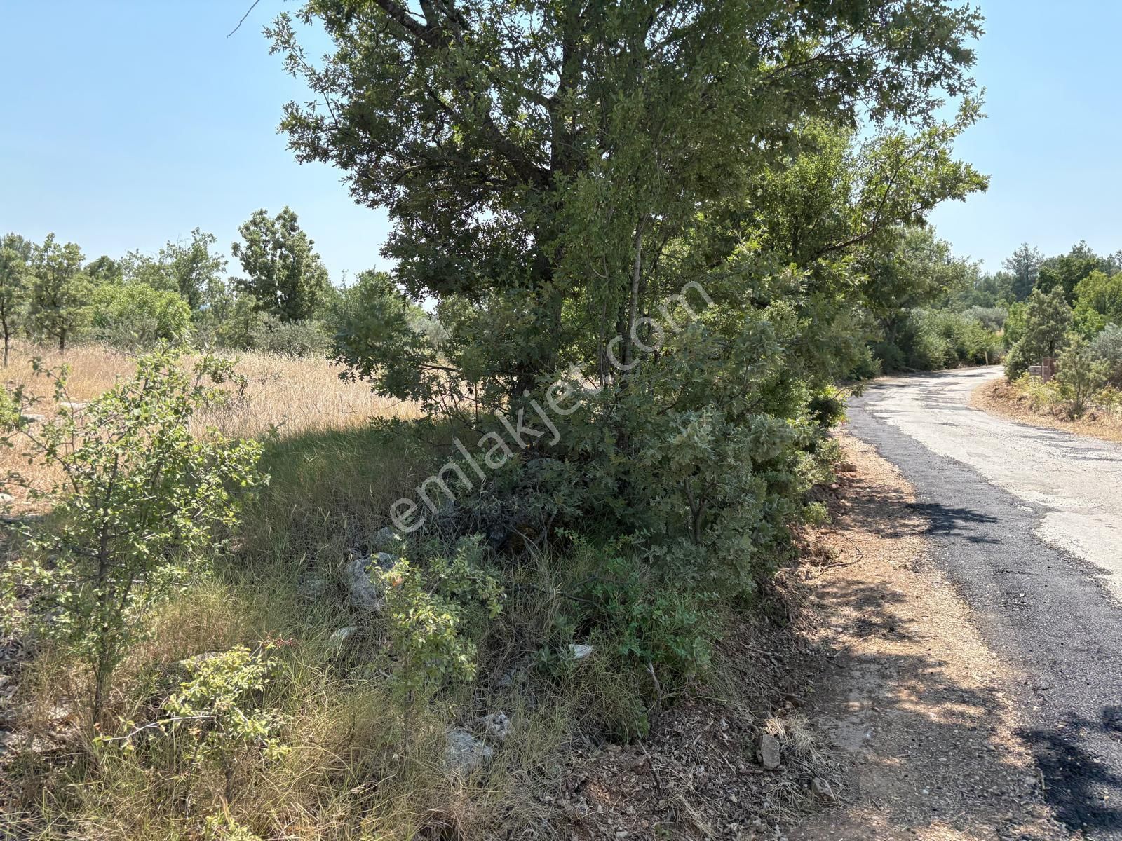 Hayal Gayrimenkulden Menteşe Denizova'da Yatırımlık 4707 M2 Tarla
