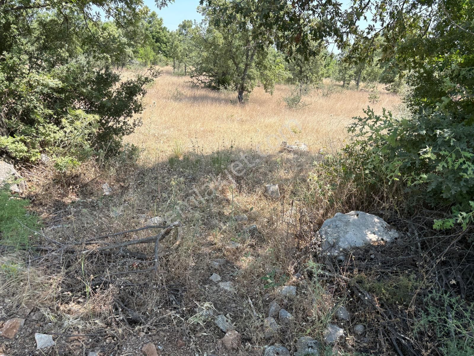 Hayal Gayrimenkulden Menteşe Denizova'da Yatırımlık 4707 M2 Tarla - Görsel 3