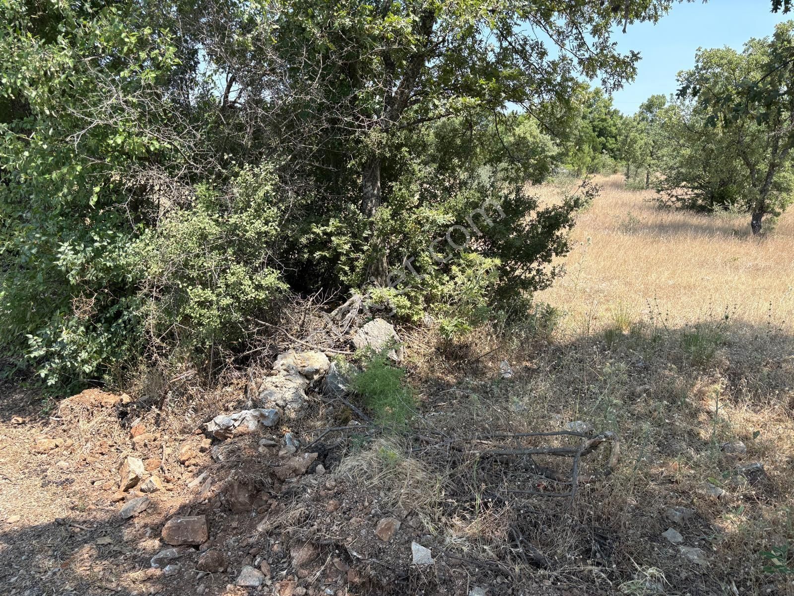 Hayal Gayrimenkulden Menteşe Denizova'da Yatırımlık 4707 M2 Tarla - Görsel 5