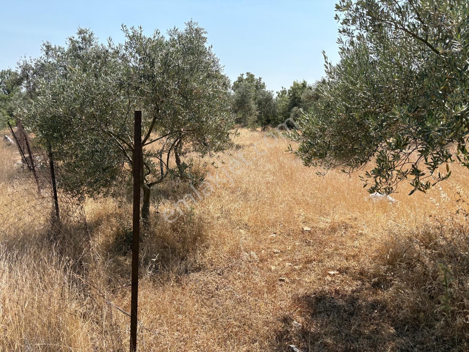 Hayal Gayrimenkulden Menteşe Denizova'da Yatırımlık 4707 M2 Tarla - Görsel 4