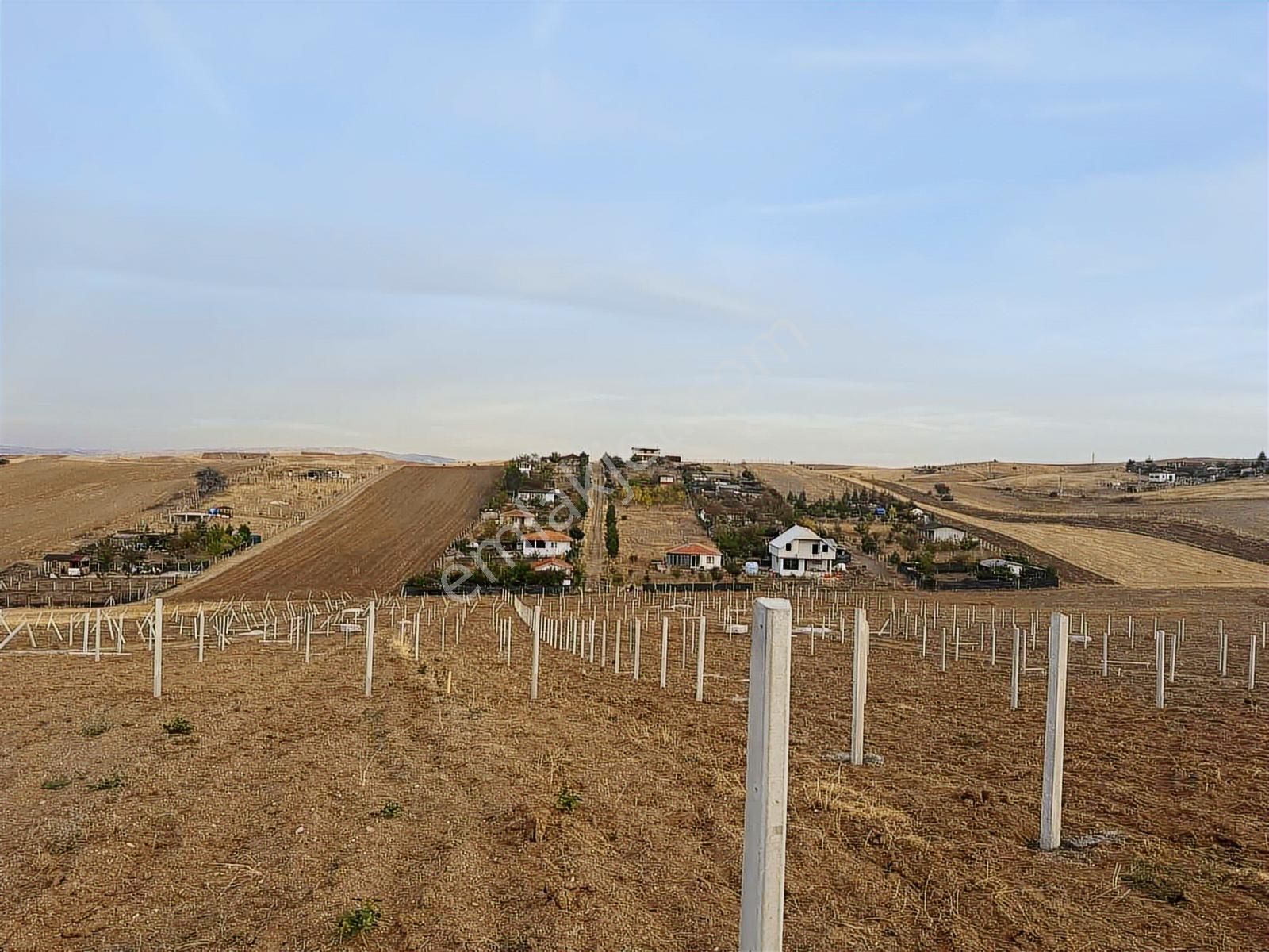 Tapulu Elektrikli Tel Örgülü Bahçe Arsa - Görsel 5