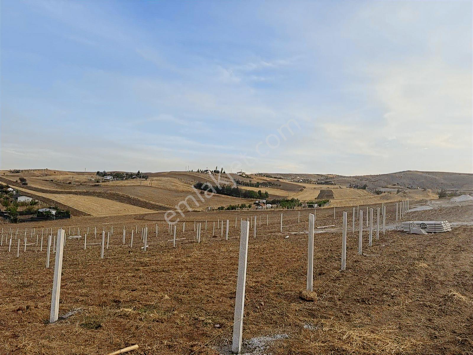 Tapulu Elektrikli Tel Örgülü Bahçe Arsa - Görsel 2