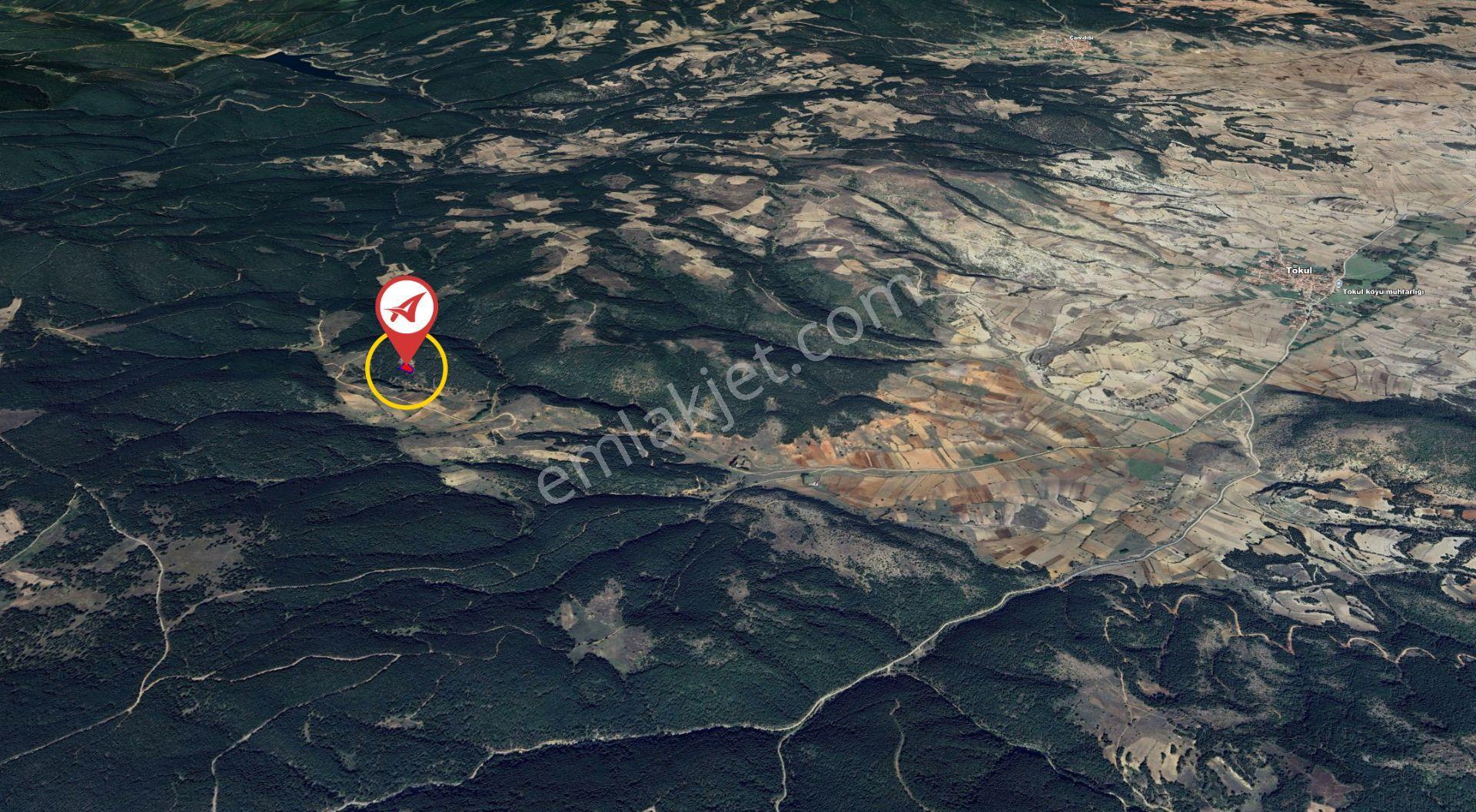 Kütahya Aslanapa Tokul 2217m2 Satılık Tarla - Görsel 7
