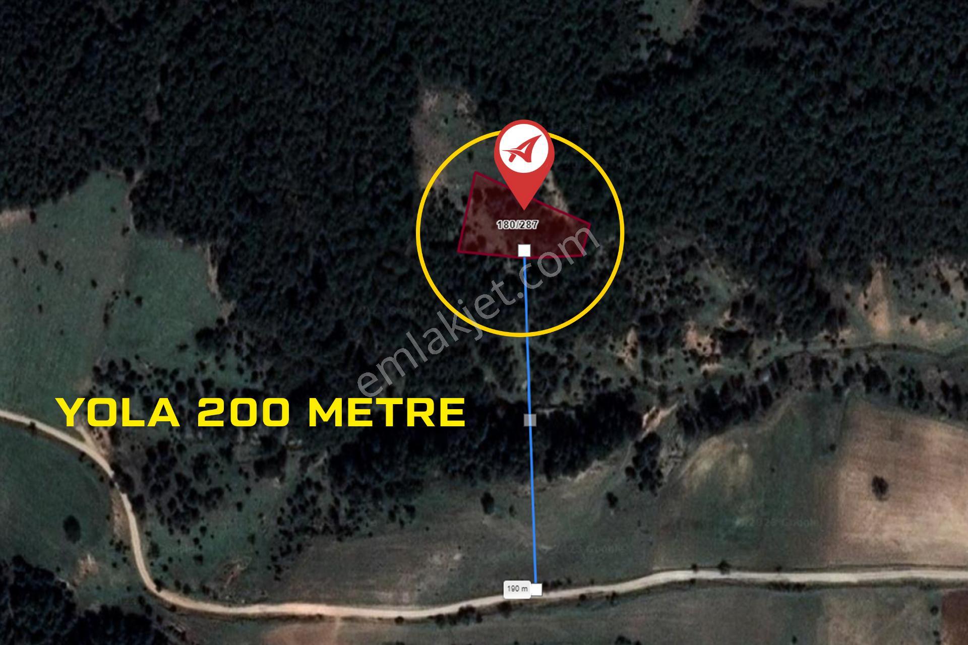 Kütahya Aslanapa Tokul 2217m2 Satılık Tarla - Görsel 12
