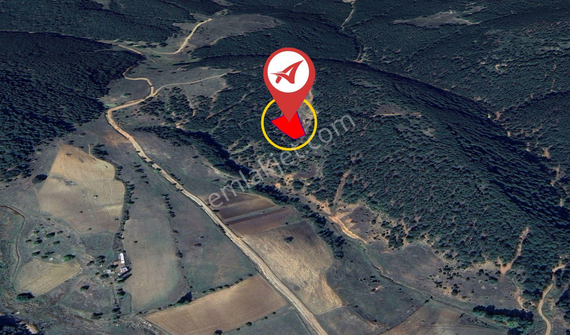 Kütahya Aslanapa Tokul 2217m2 Satılık Tarla - Görsel 3