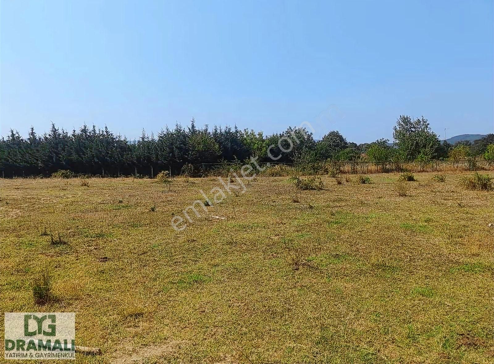 Bursa Gemlik Haydariye Satılık 997 M2 Tarla - Görsel 2