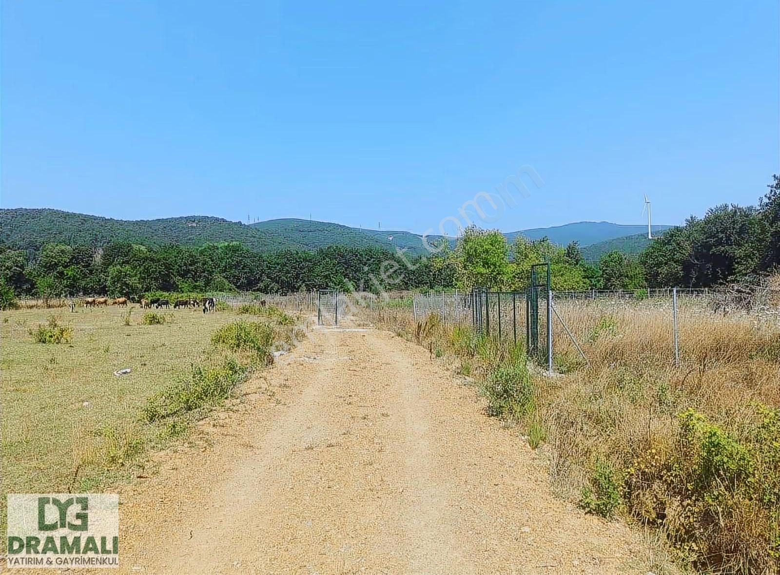 Bursa Gemlik Haydariye Satılık 997 M2 Tarla - Görsel 4