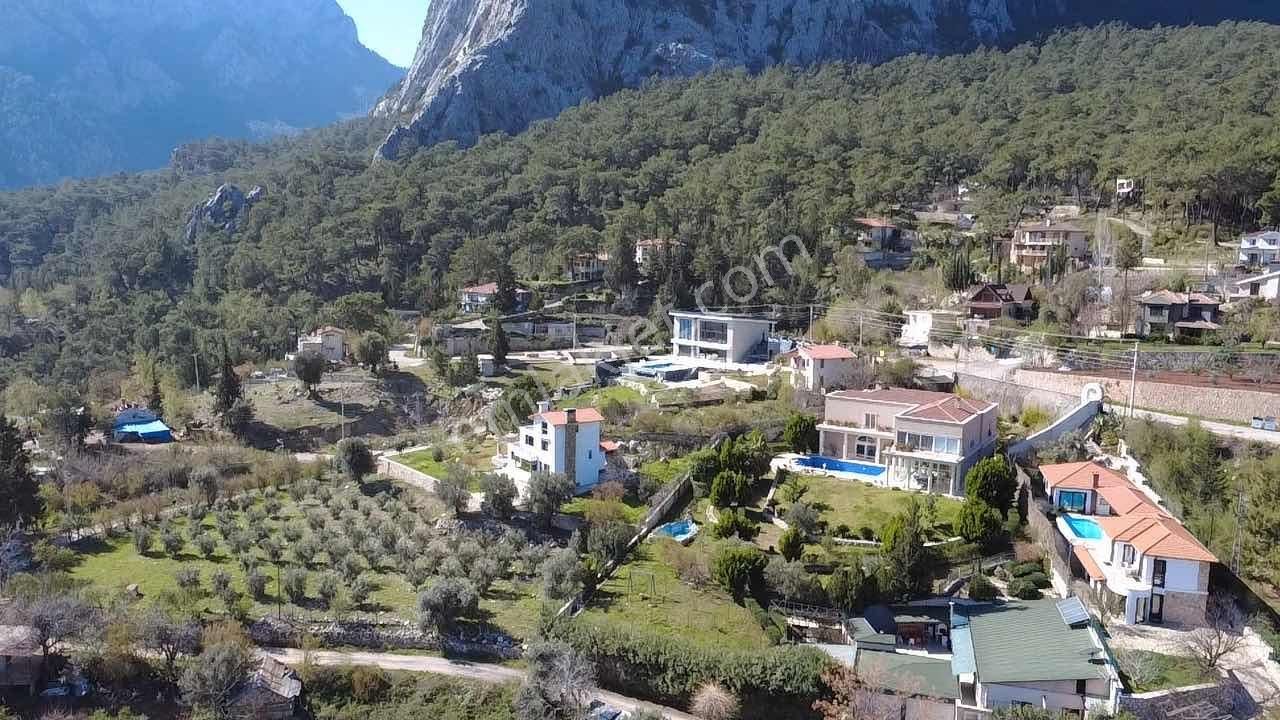 Zenginlik Ve Sadelik İsteyen Gelsin