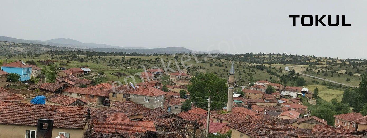 Kütahya-aslanapa-tokul-satılık-2375m2tarla - Görsel 28