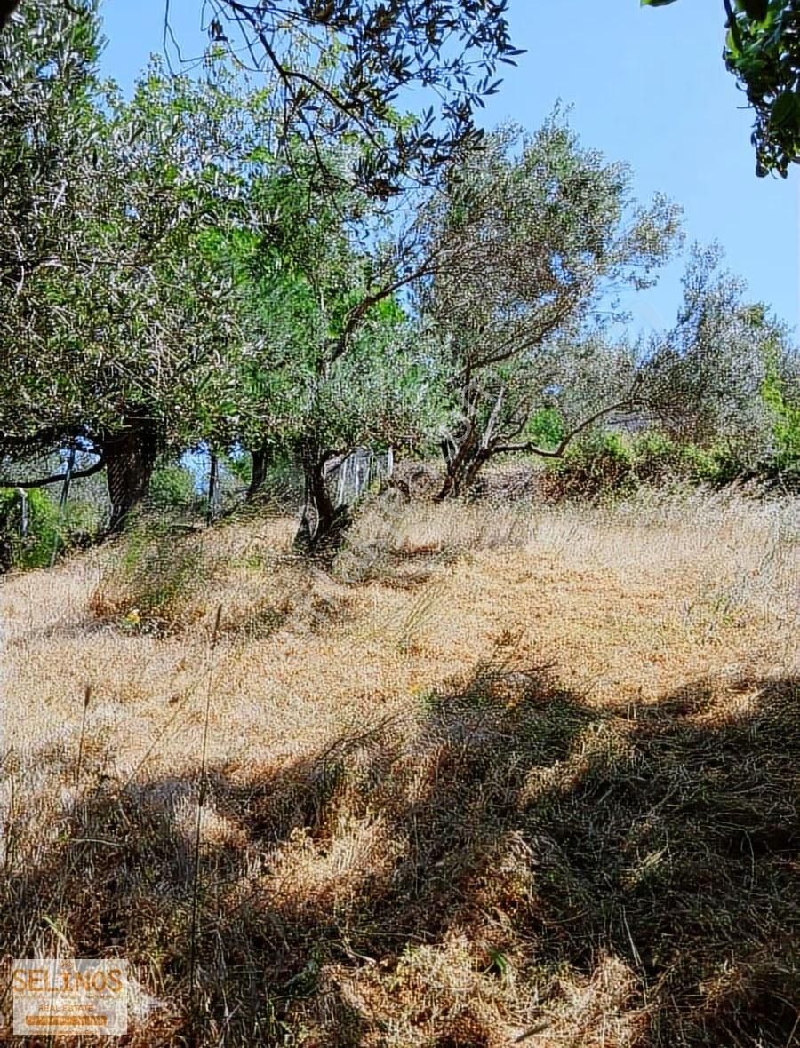 Bergama Çürukbağ 'da 550 M2 Arsa İçerisinde Köy Evi - Görsel 14