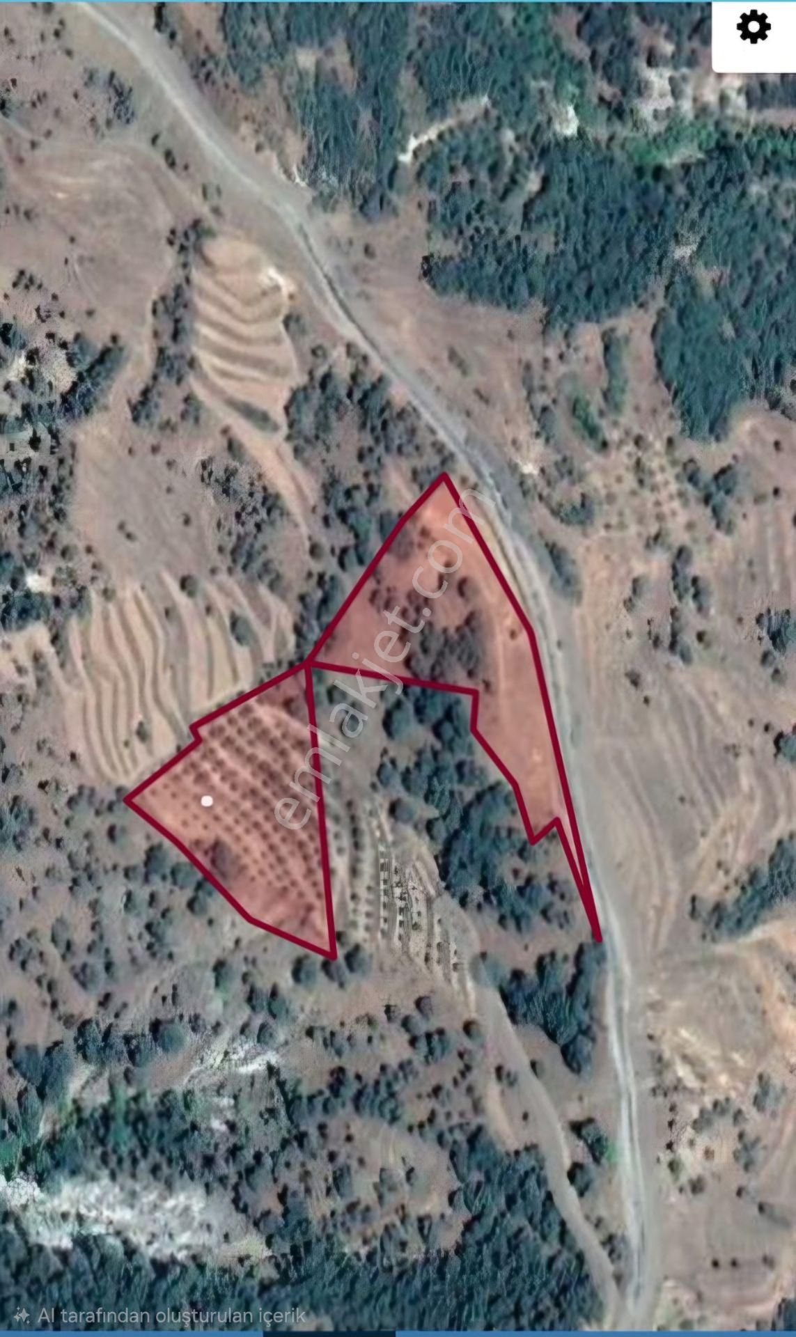 Buharkent Ericek Mah.12.500 M2 Asfalta Sıfır Süper Kiraz Bahçesi - Görsel 12