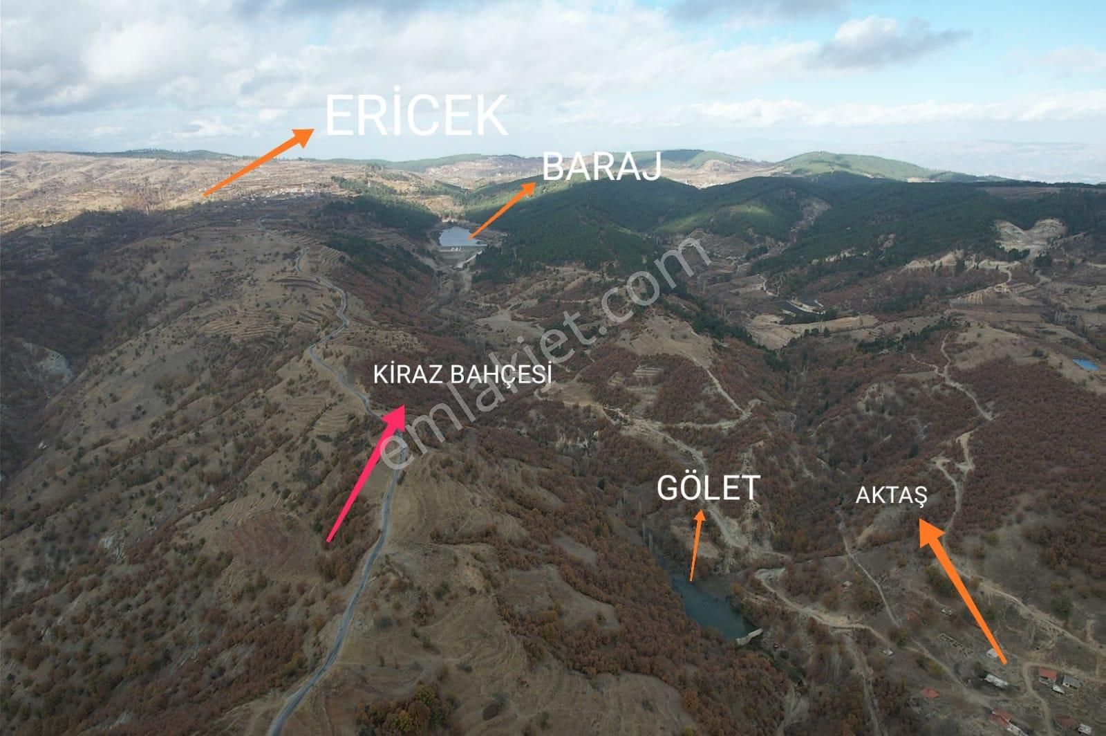 Buharkent Ericek Mah.12.500 M2 Asfalta Sıfır Süper Kiraz Bahçesi - Görsel 6
