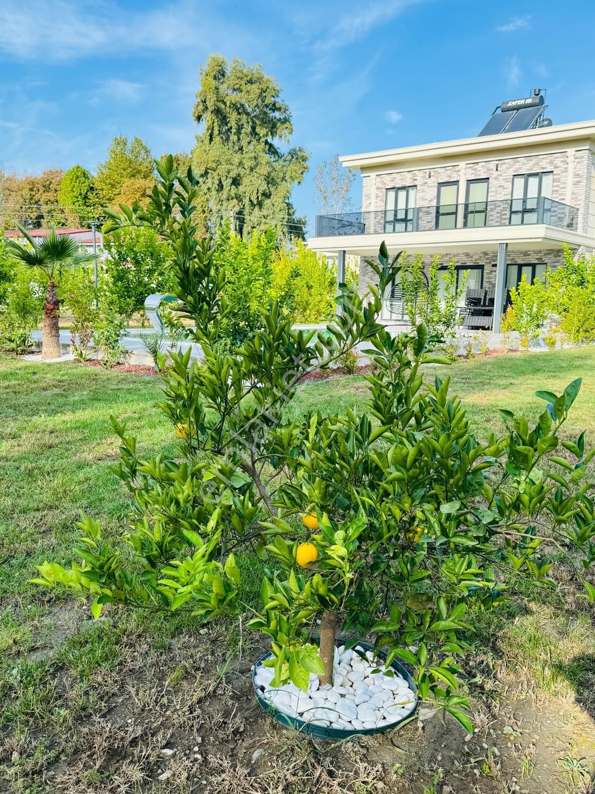 Ana Yolda Prestij: 7.500 M² Bahçeli Lüks Malikane - Görsel 4