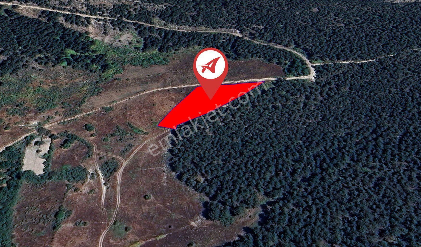 Kütahya Simav Kızılcık Satılık 4081m2 Tarla - Görsel 3