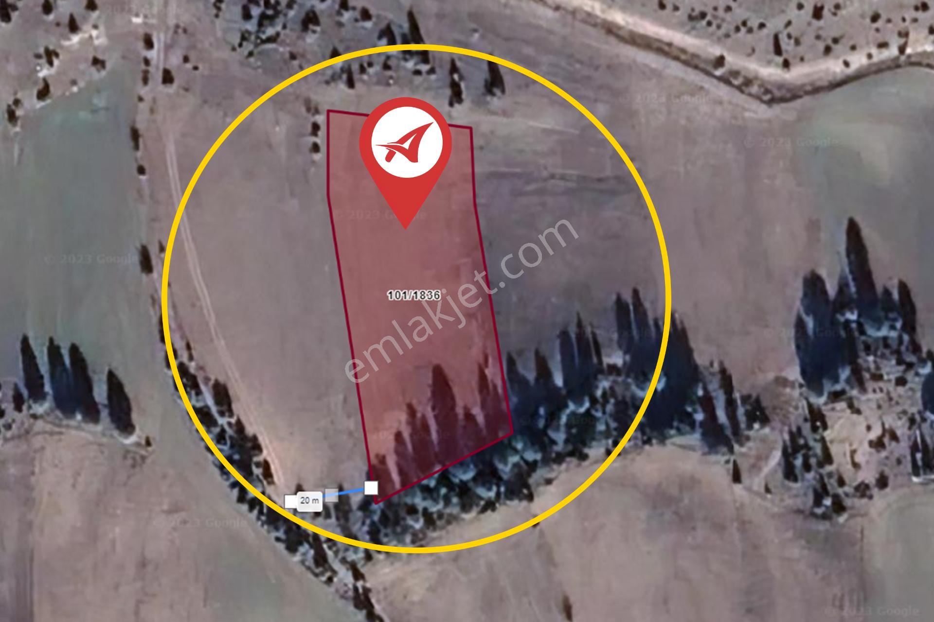 Kütahya Emet Aydıncıkmeydan Satılık 3230m2 Tarla - Görsel 10