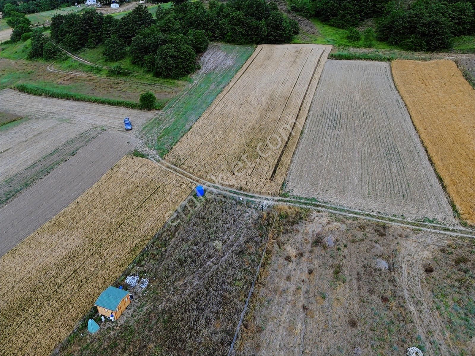 Kocaeli Kandıra Hıdırlar Mah Satılık Yatırımlık Fırsat Tarlalar - Görsel 26