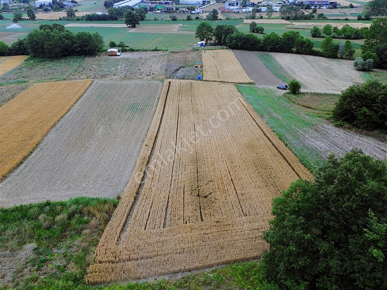 Kocaeli Kandıra Hıdırlar Mah Satılık Yatırımlık Fırsat Tarlalar - Görsel 19