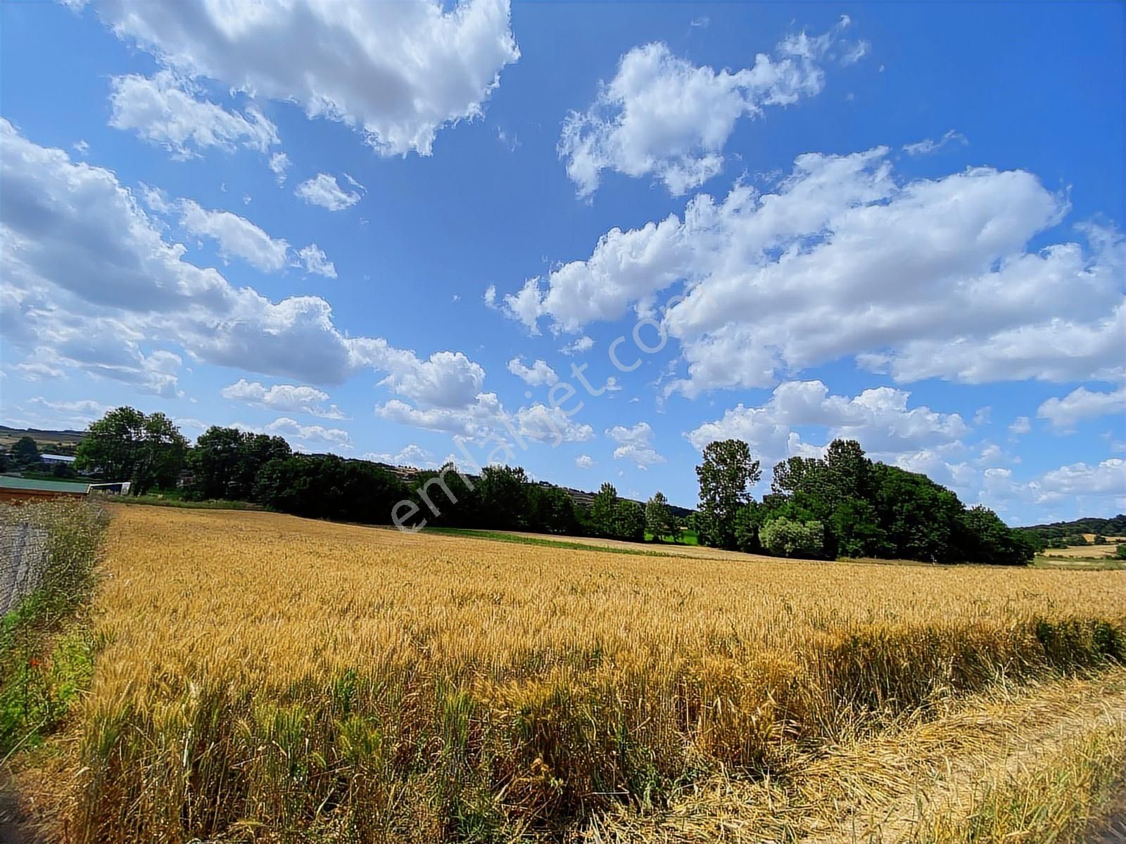Kocaeli Kandıra Hıdırlar Mah Satılık Yatırımlık Fırsat Tarlalar - Görsel 14