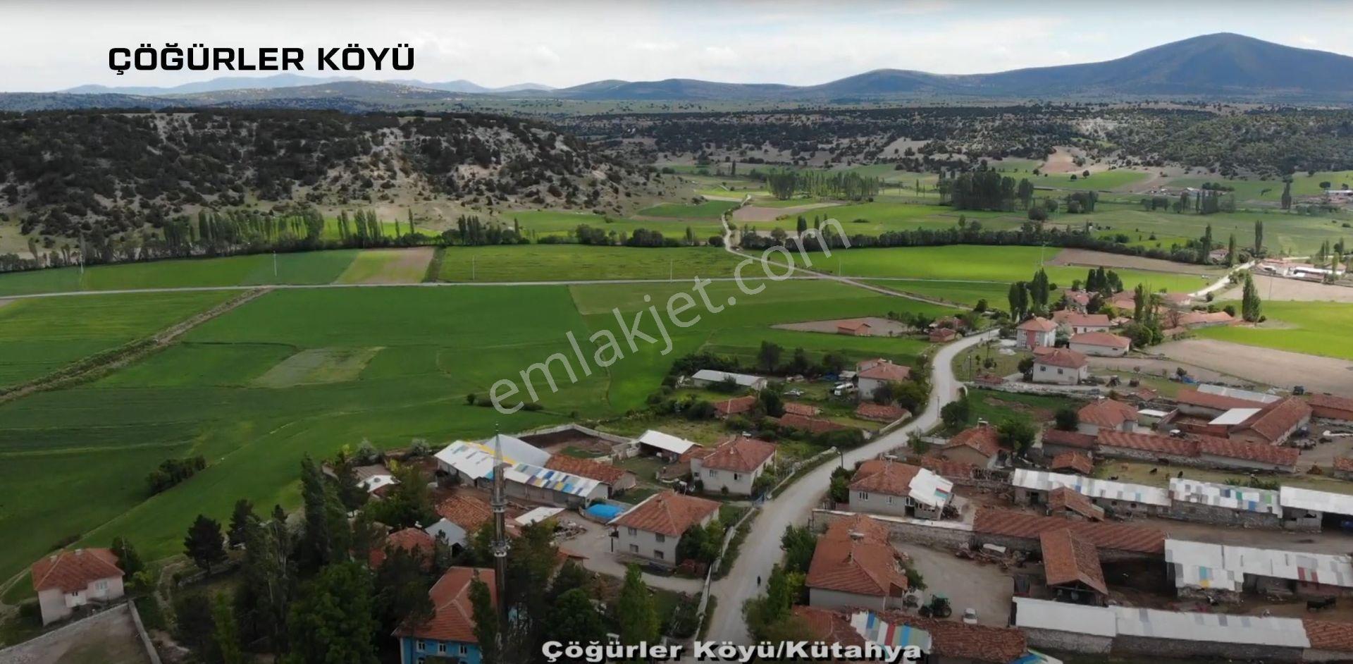 Kütahya Merkez Çöğürler Satılık 6781m2 Tarla - Görsel 19