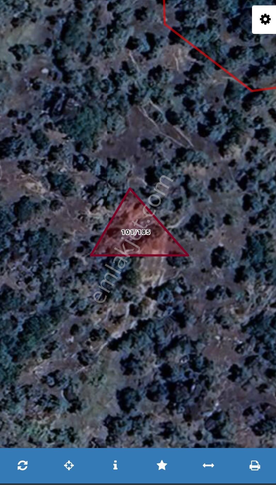 Aydın Karpuzlu Tekeler 360 M2 Zeytinlik