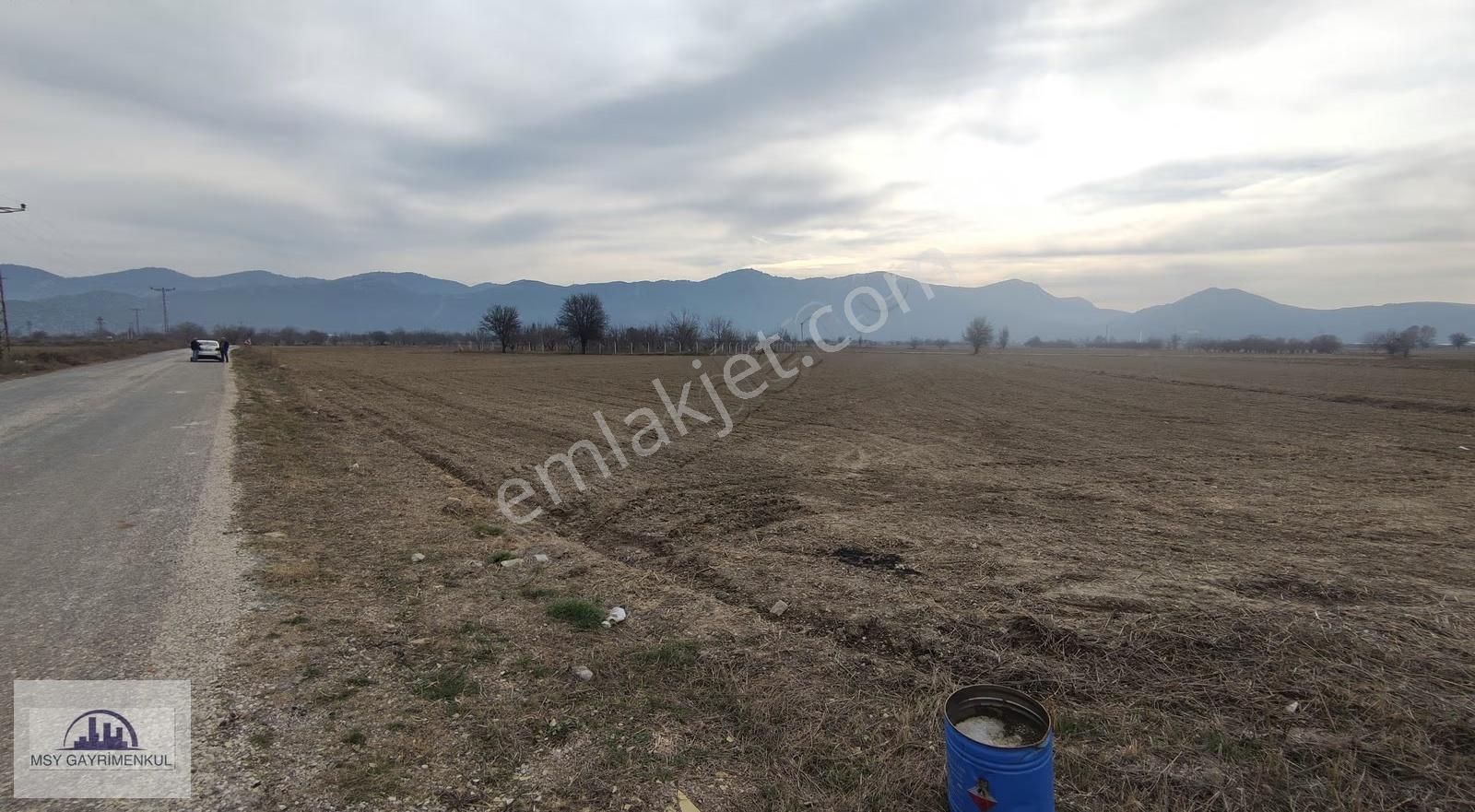 Burdur Bucak Gündoğdu Mahallesinde 6.642 M2 Satılık Tarla - Görsel 4