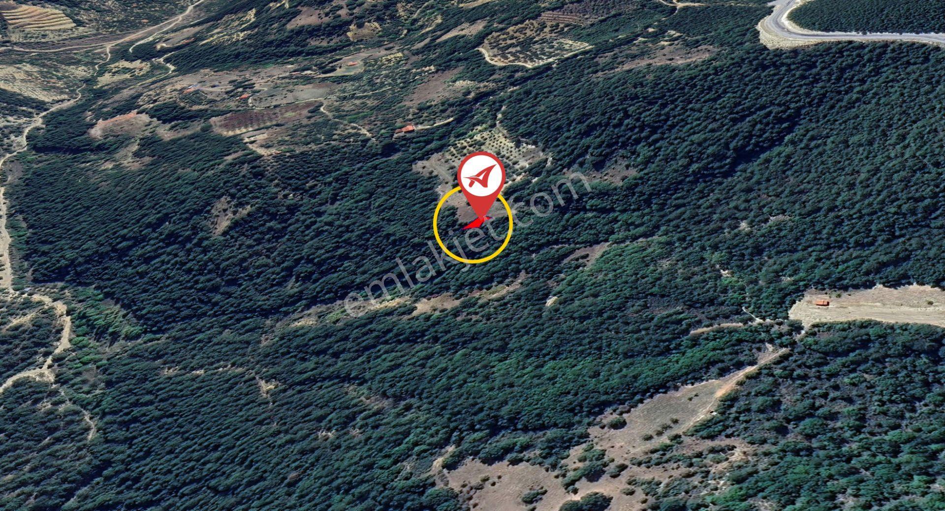 Kütahya Şaphane Subaşı Satılık 164 M2 Tarla - Görsel 4