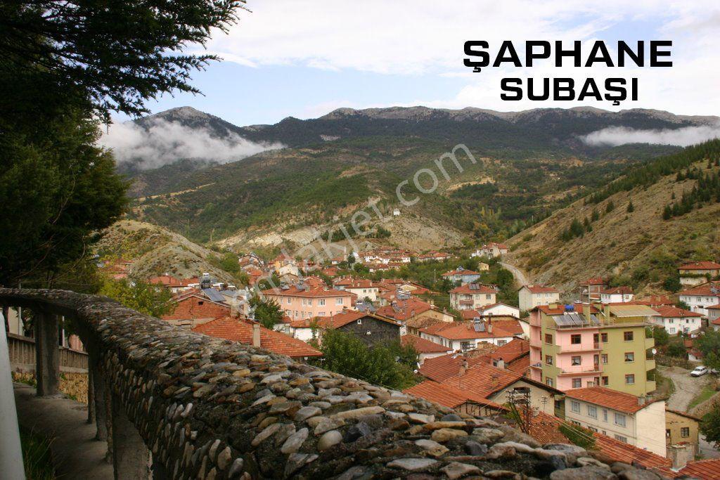 Kütahya Şaphane Subaşı Satılık 164 M2 Tarla - Görsel 13