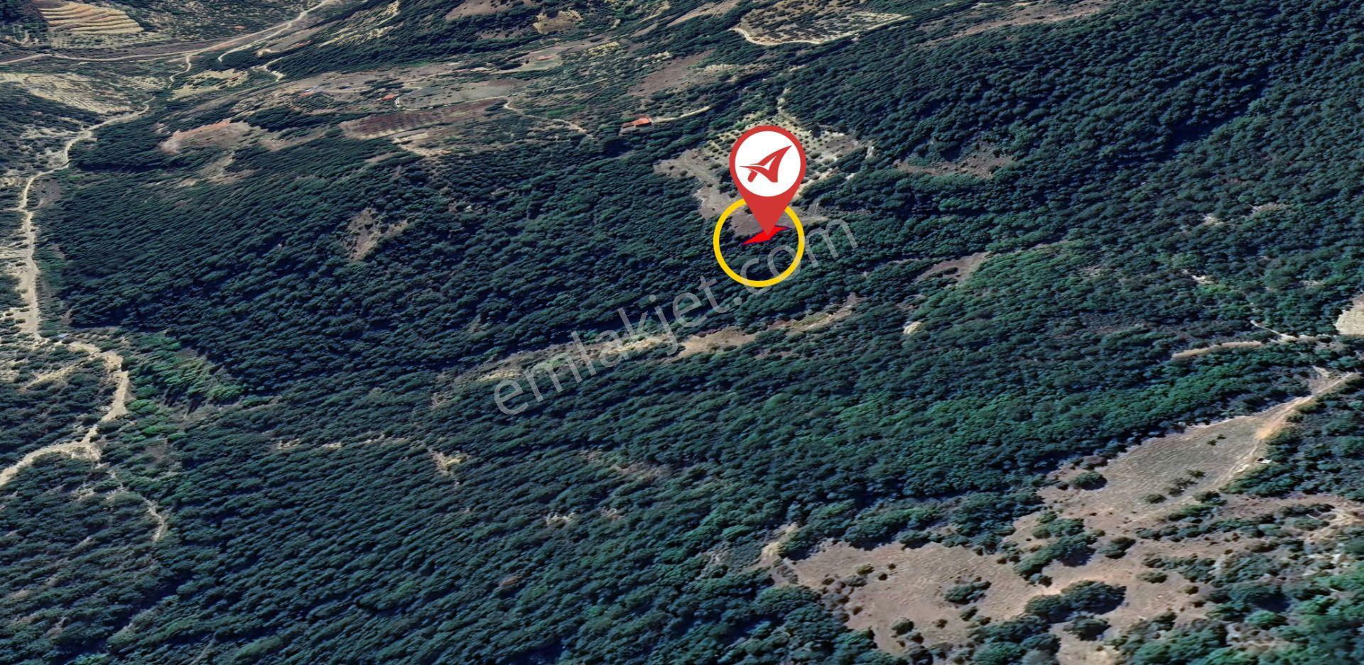 Kütahya Şaphane Subaşı Satılık 164 M2 Tarla - Görsel 5