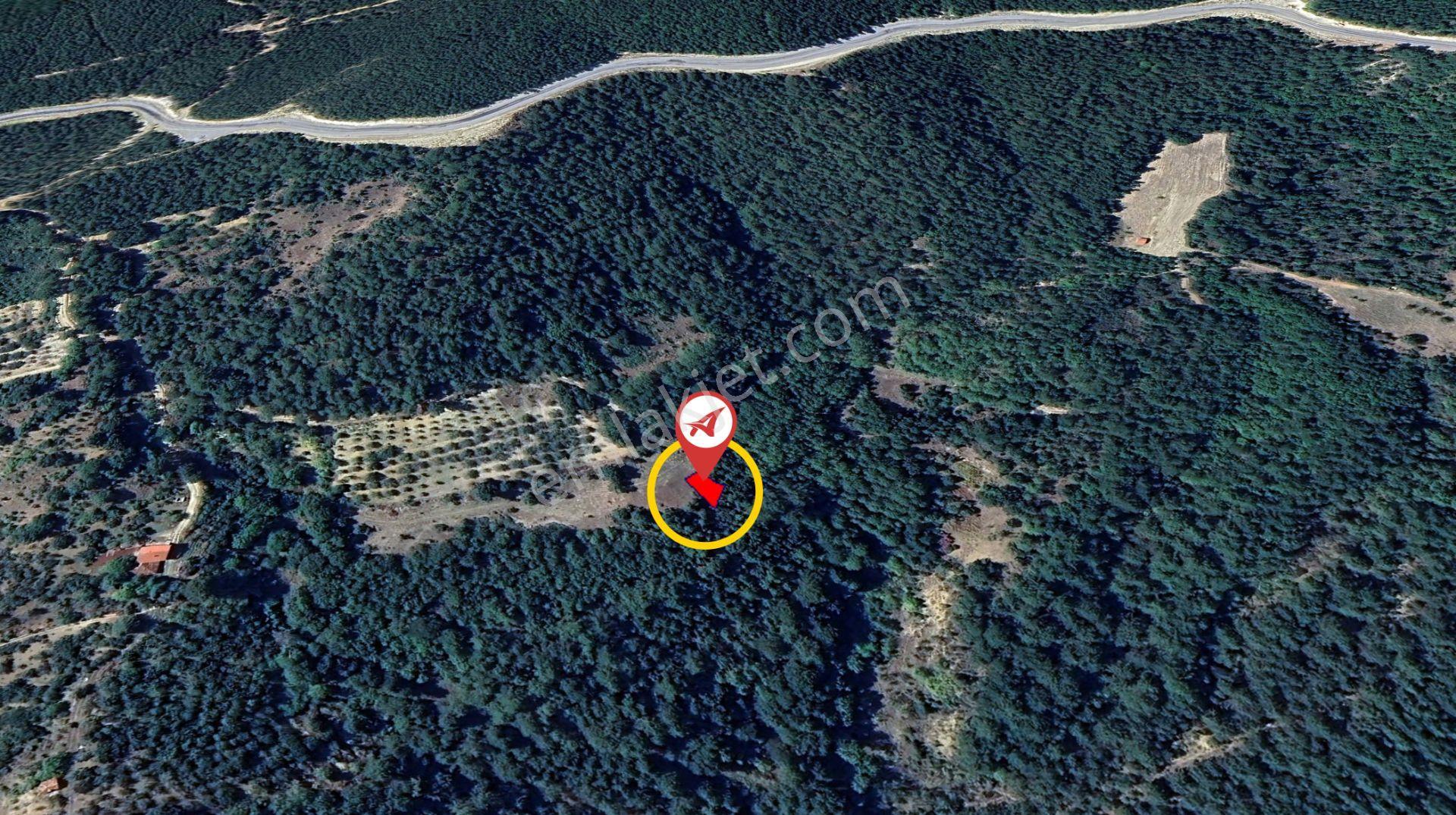 Kütahya Şaphane Subaşı Satılık 164 M2 Tarla - Görsel 2