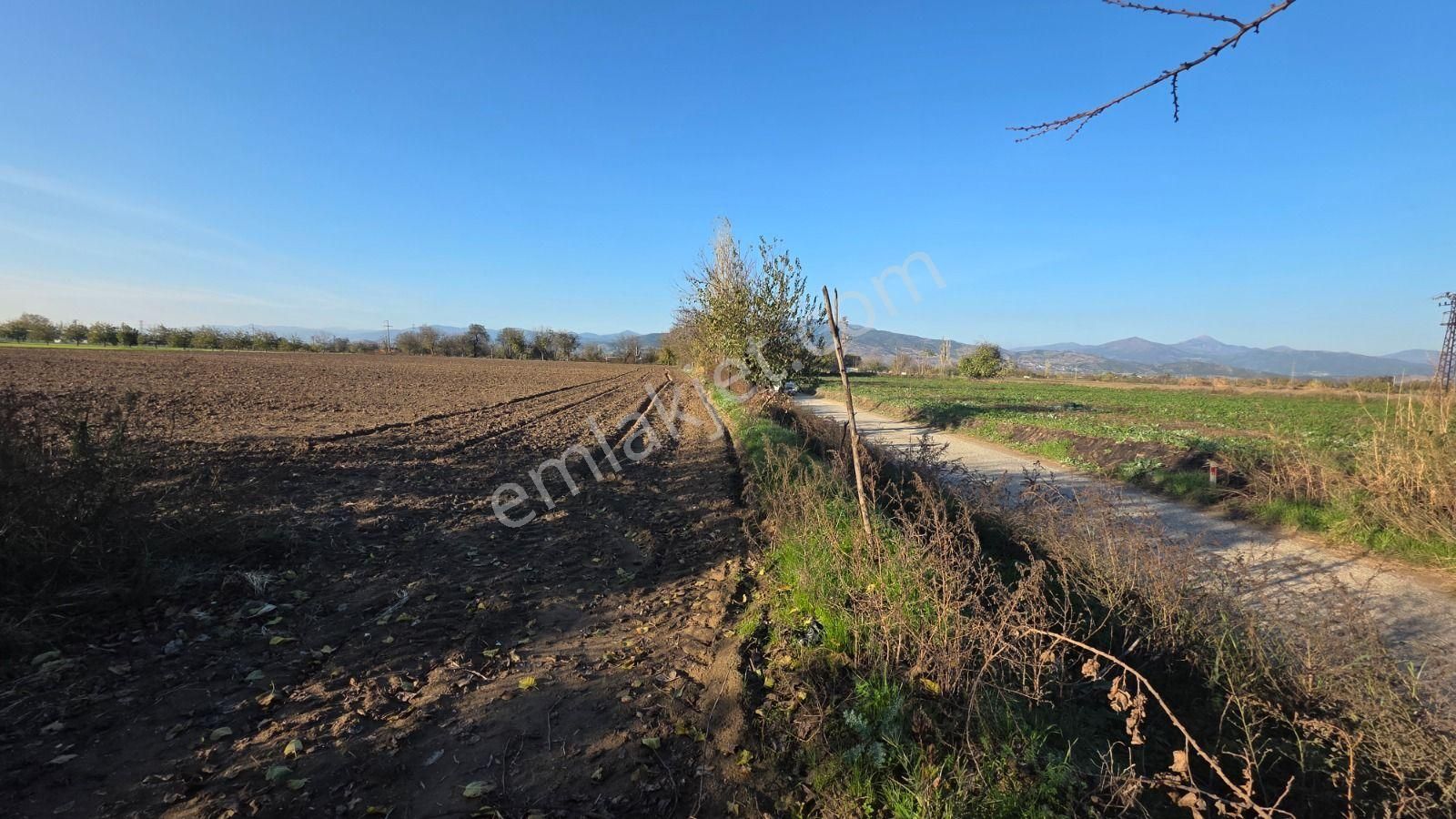 Toplam; 28.730 M² Tarla 5 Adet Parselden Oluşan Tarla - Görsel 7