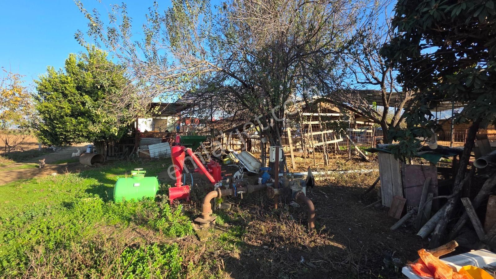 Toplam; 28.730 M² Tarla 5 Adet Parselden Oluşan Tarla - Görsel 16