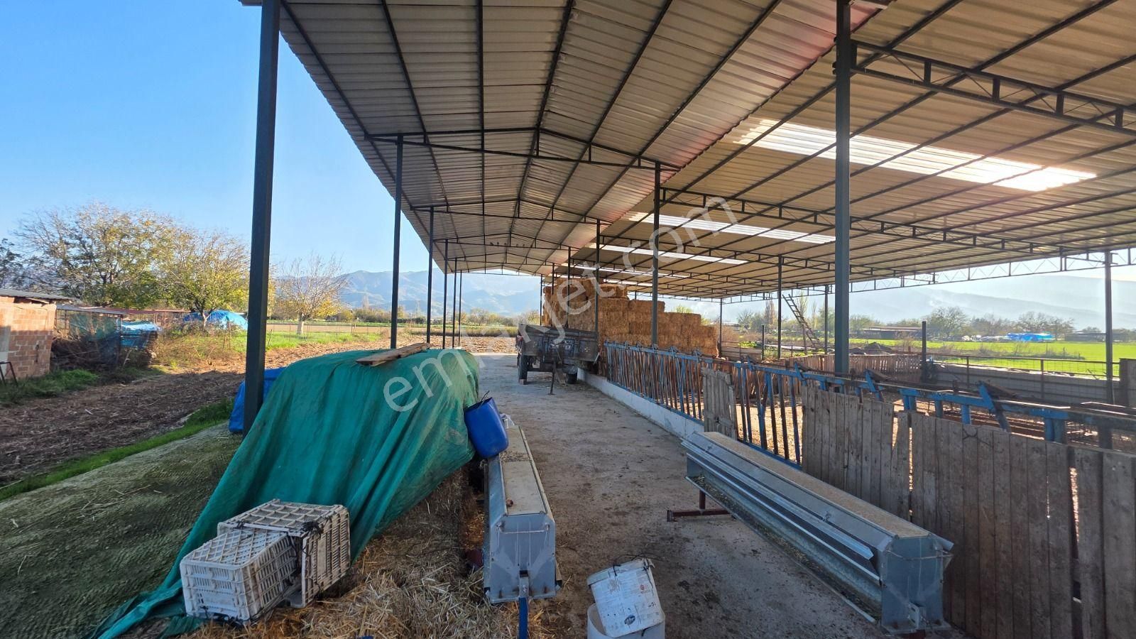 Toplam; 28.730 M² Tarla 5 Adet Parselden Oluşan Tarla - Görsel 17