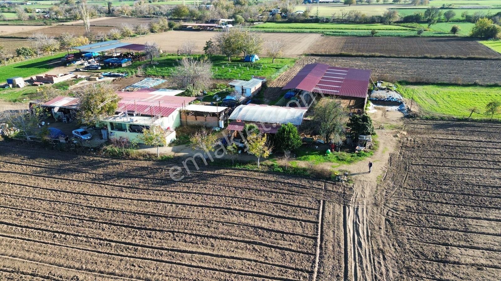 Toplam; 28.730 M² Tarla 5 Adet Parselden Oluşan Tarla - Görsel 3