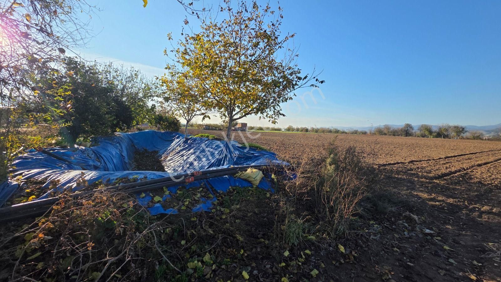 Toplam; 28.730 M² Tarla 5 Adet Parselden Oluşan Tarla - Görsel 11