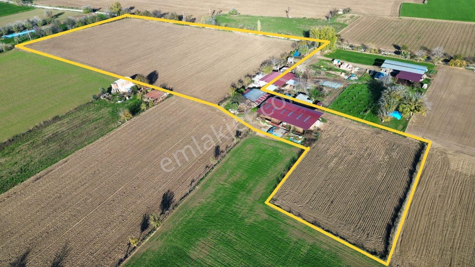 Toplam; 28.730 M² Tarla 5 Adet Parselden Oluşan Tarla