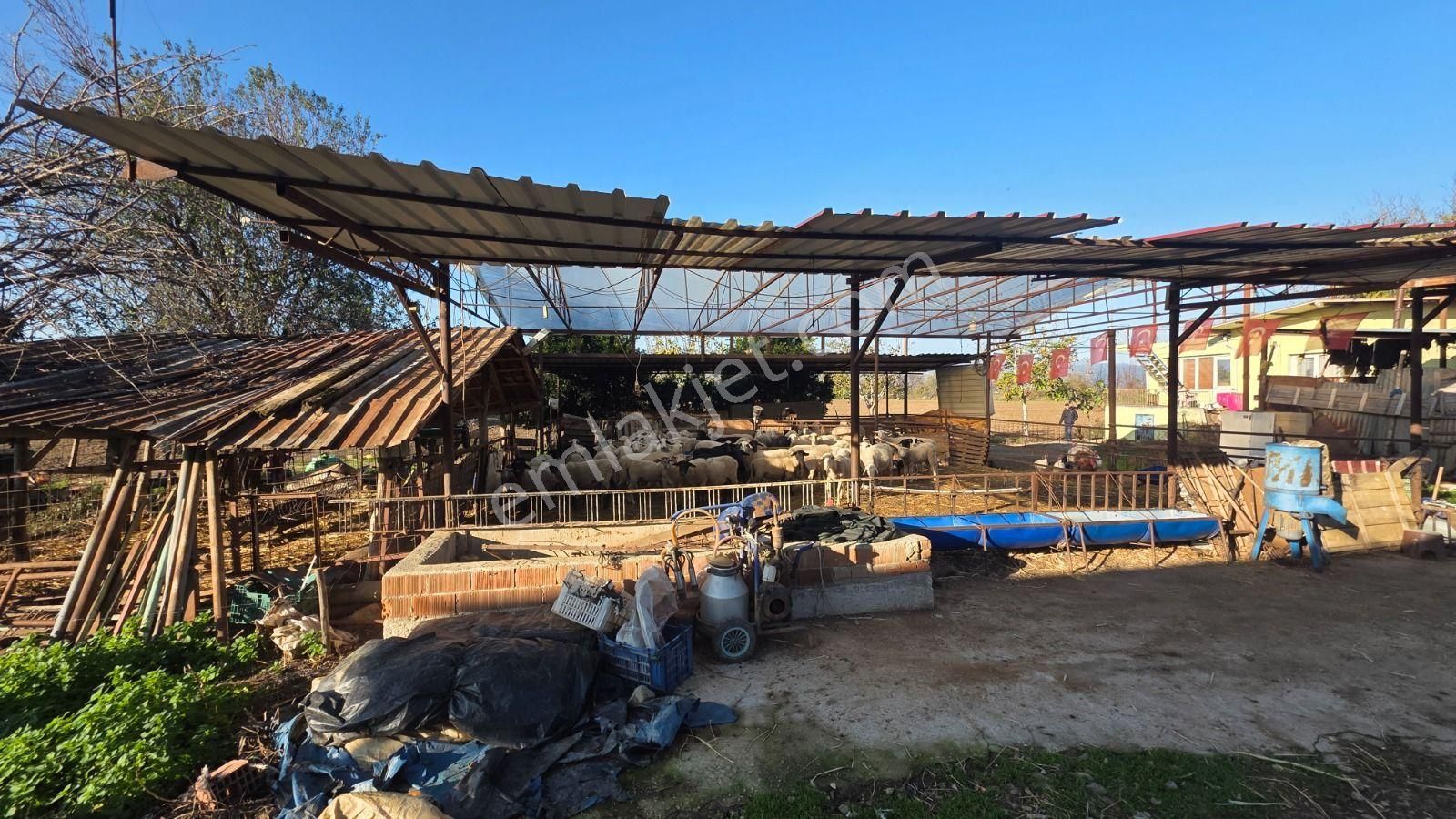 Toplam; 28.730 M² Tarla 5 Adet Parselden Oluşan Tarla - Görsel 22