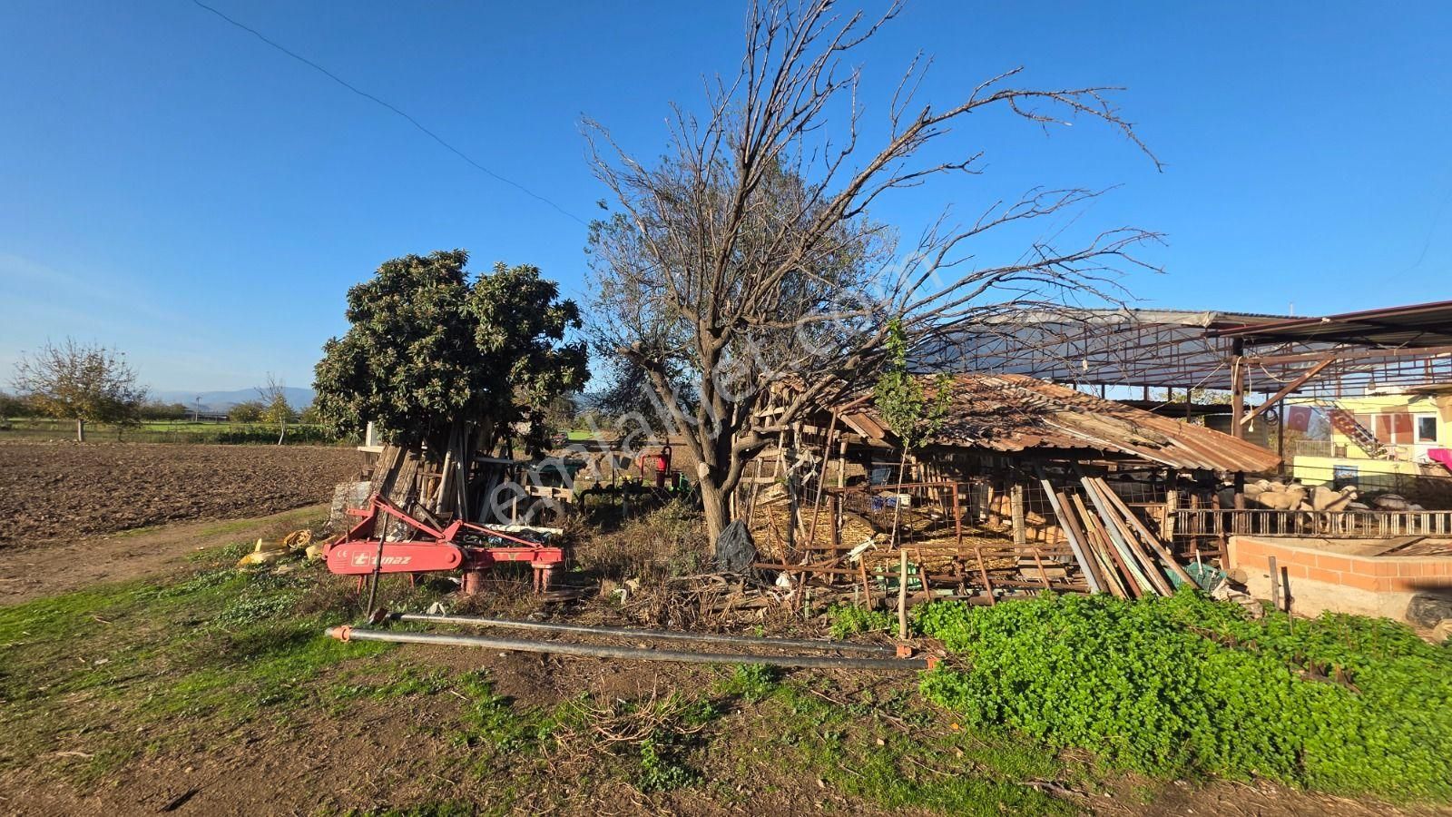 Toplam; 28.730 M² Tarla 5 Adet Parselden Oluşan Tarla - Görsel 15