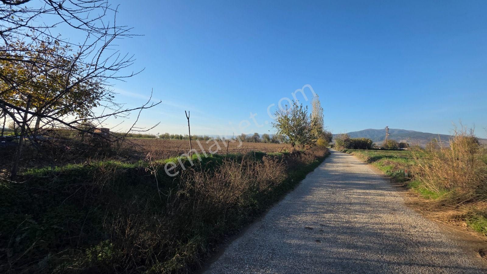 Toplam; 28.730 M² Tarla 5 Adet Parselden Oluşan Tarla - Görsel 2