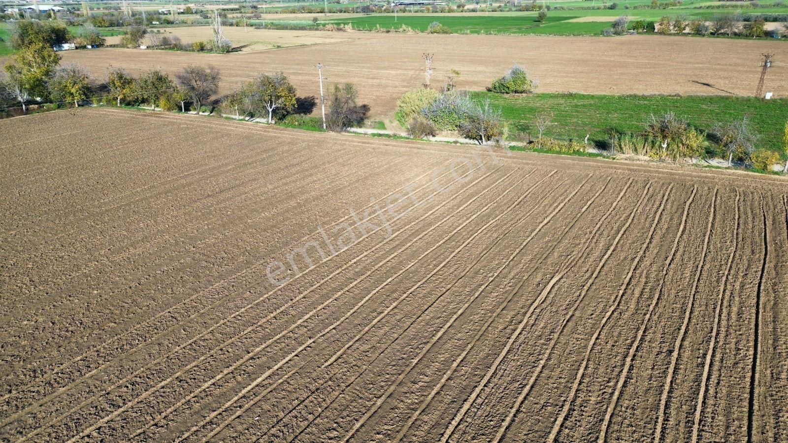 Toplam; 28.730 M² Tarla 5 Adet Parselden Oluşan Tarla - Görsel 9
