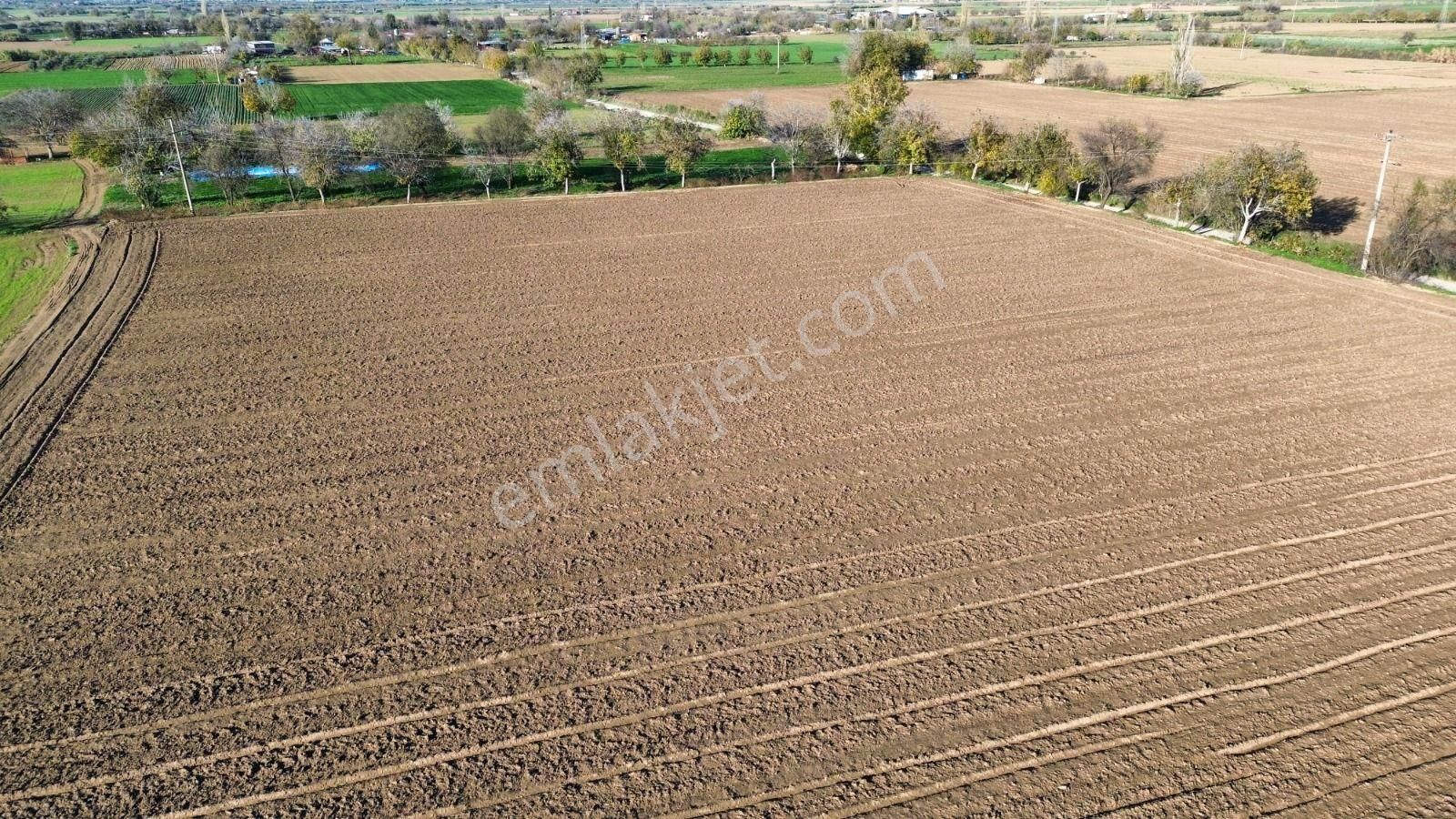 Toplam; 28.730 M² Tarla 5 Adet Parselden Oluşan Tarla - Görsel 13