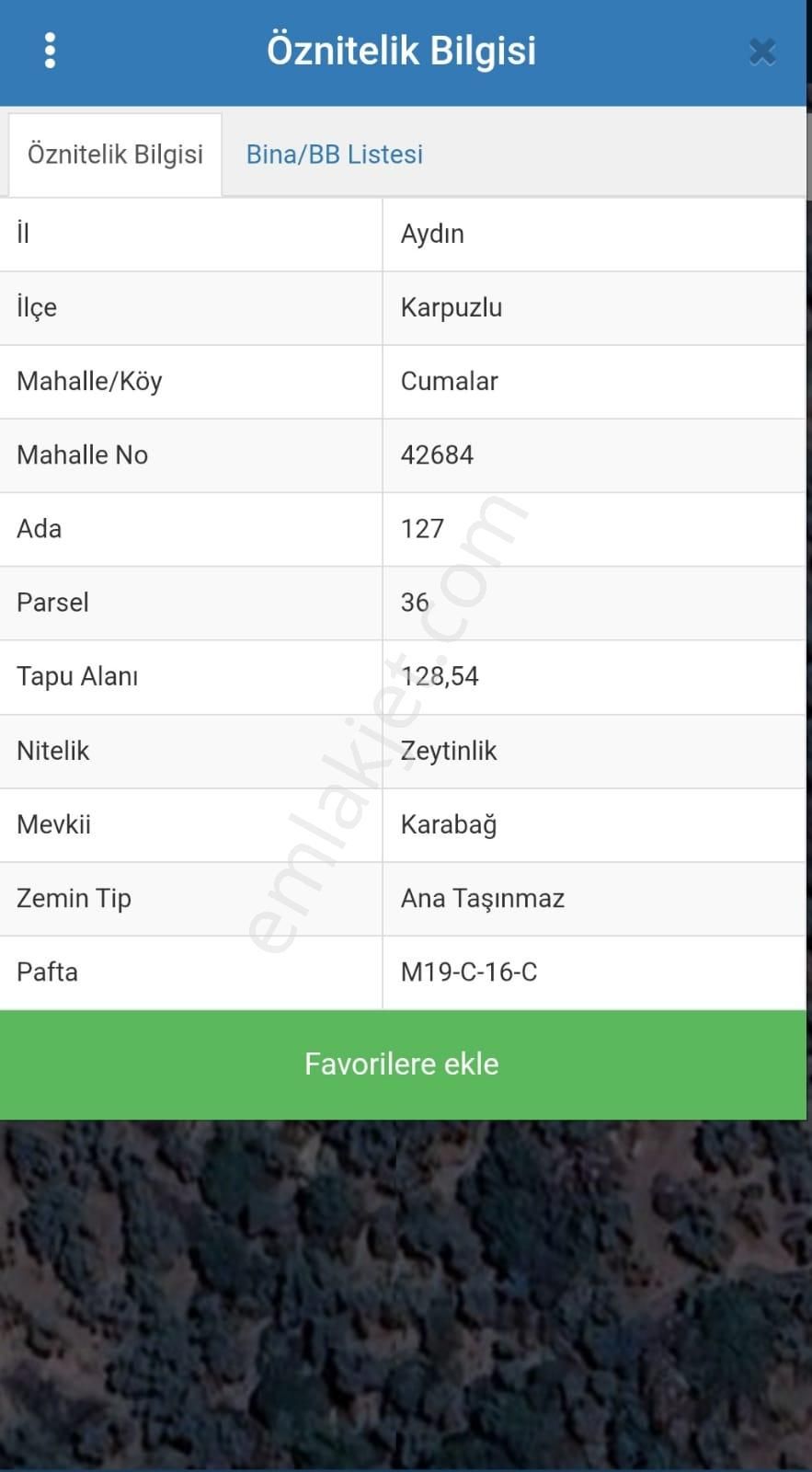 Aydın Karpuzlu Cumalar 128 M2 Zeytinlik - Görsel 2