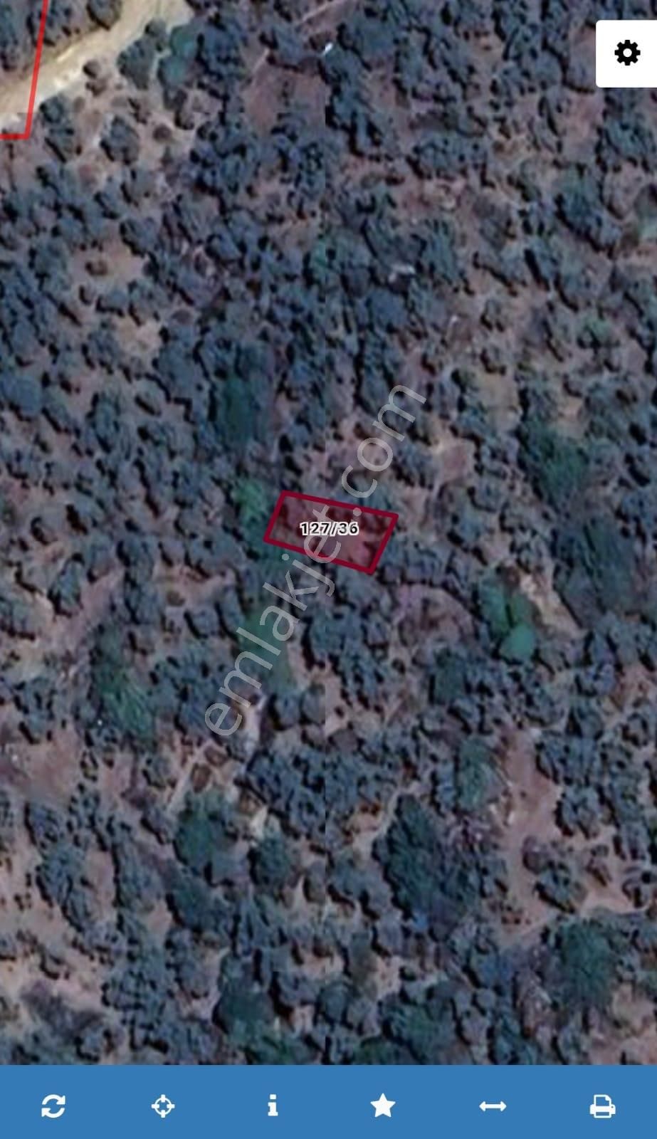 Aydın Karpuzlu Cumalar 128 M2 Zeytinlik