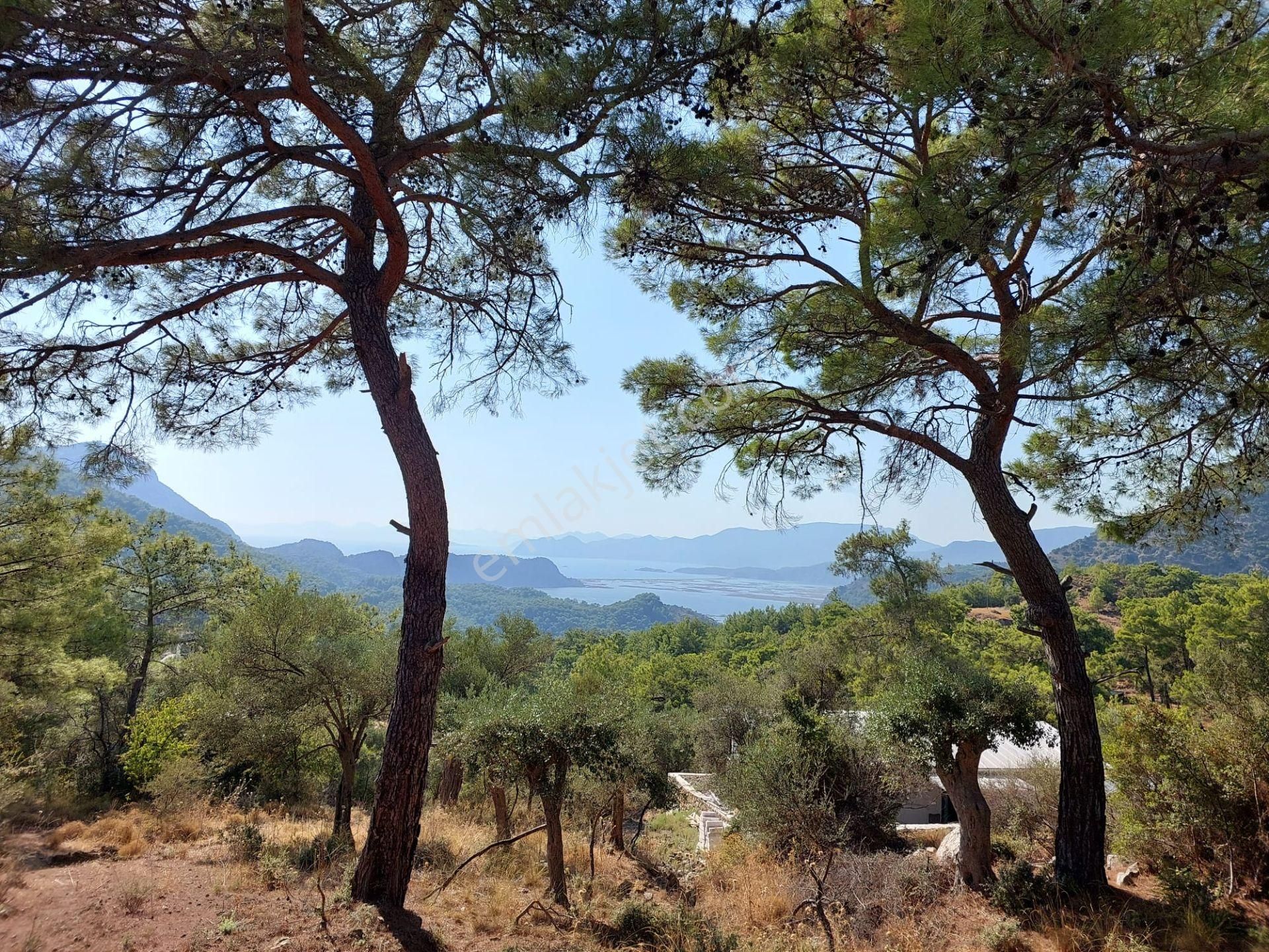 Mugla Ortaca Gökbel De Doga Ve Deniz Manzaralı Müstakil 762 M2 Yatırıma Uygun Arazi Satılık - Görsel 3