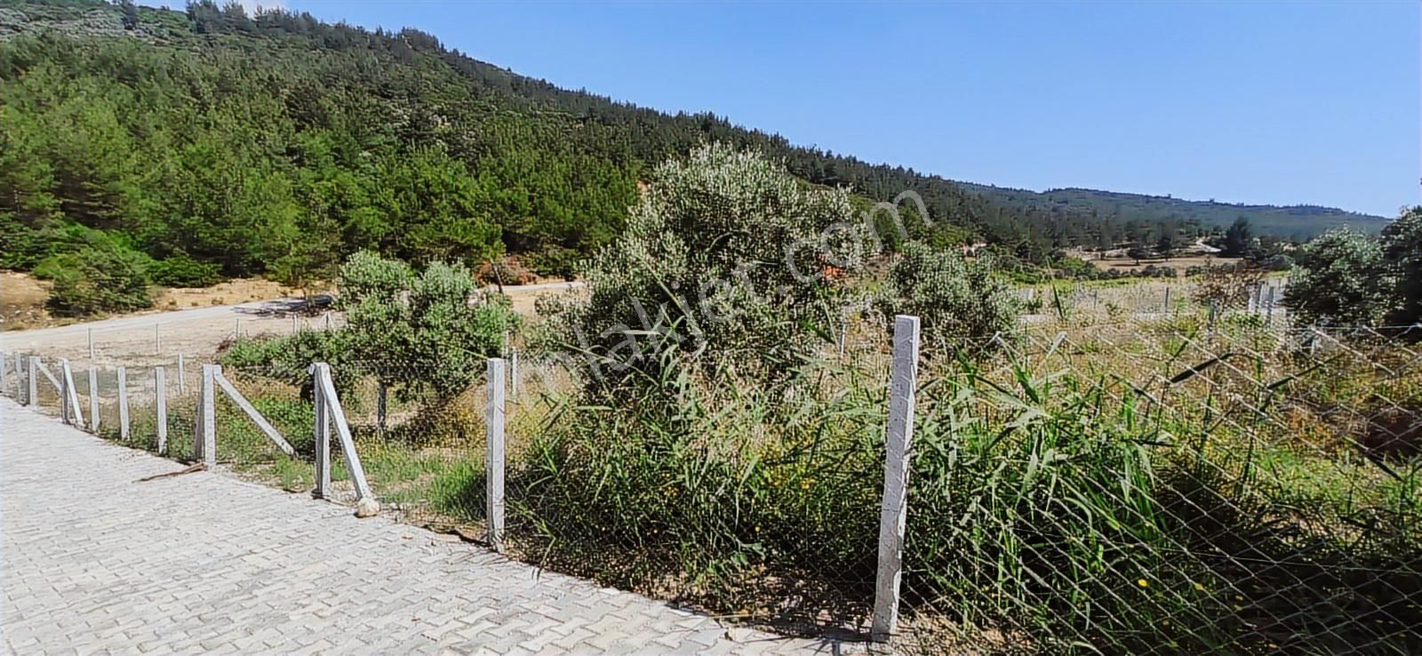 Menderes Çatalca'da 251m2 Hisseli Tarla Key Emlaktan Satılıktır - Görsel 4