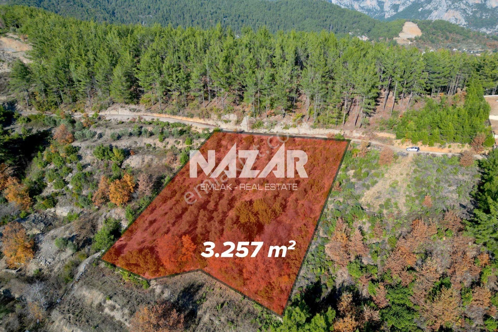 Alanya Üzümlü’de 3.257 M² Satılık Tarla – Zeytin Bahçesi - Görsel 6