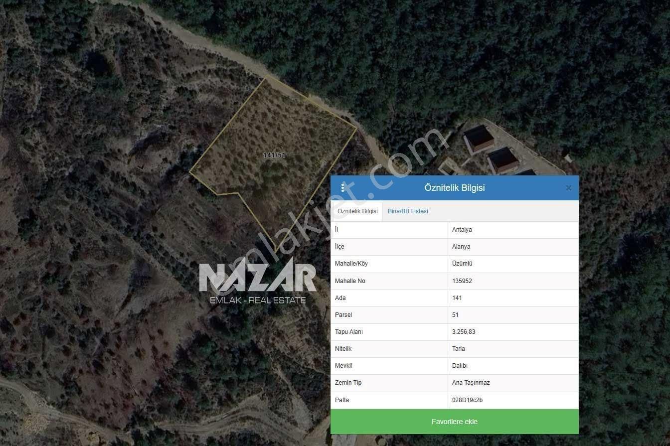Alanya Üzümlü’de 3.257 M² Satılık Tarla – Zeytin Bahçesi - Görsel 17