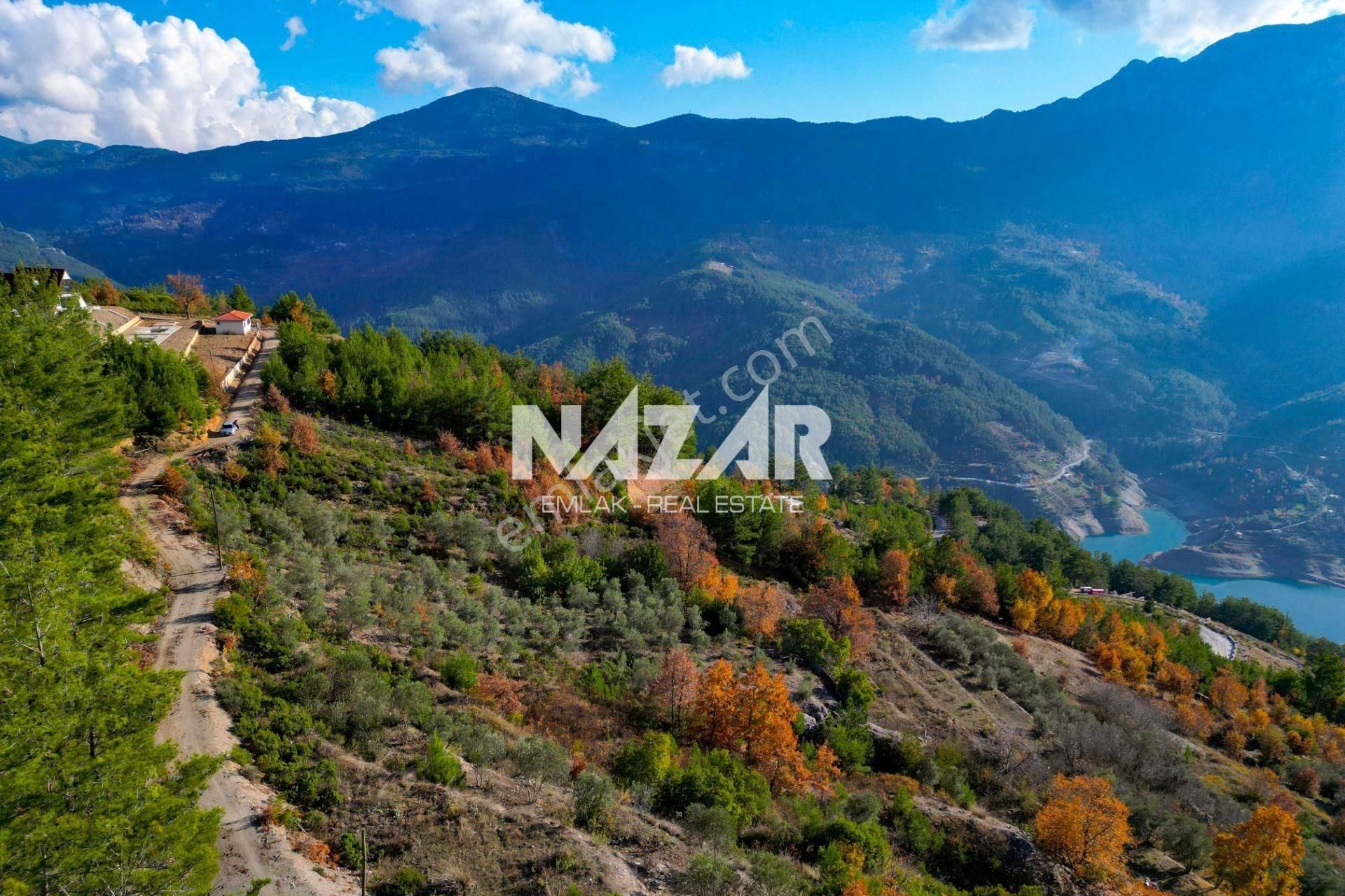 Alanya Üzümlü’de 3.257 M² Satılık Tarla – Zeytin Bahçesi - Görsel 10