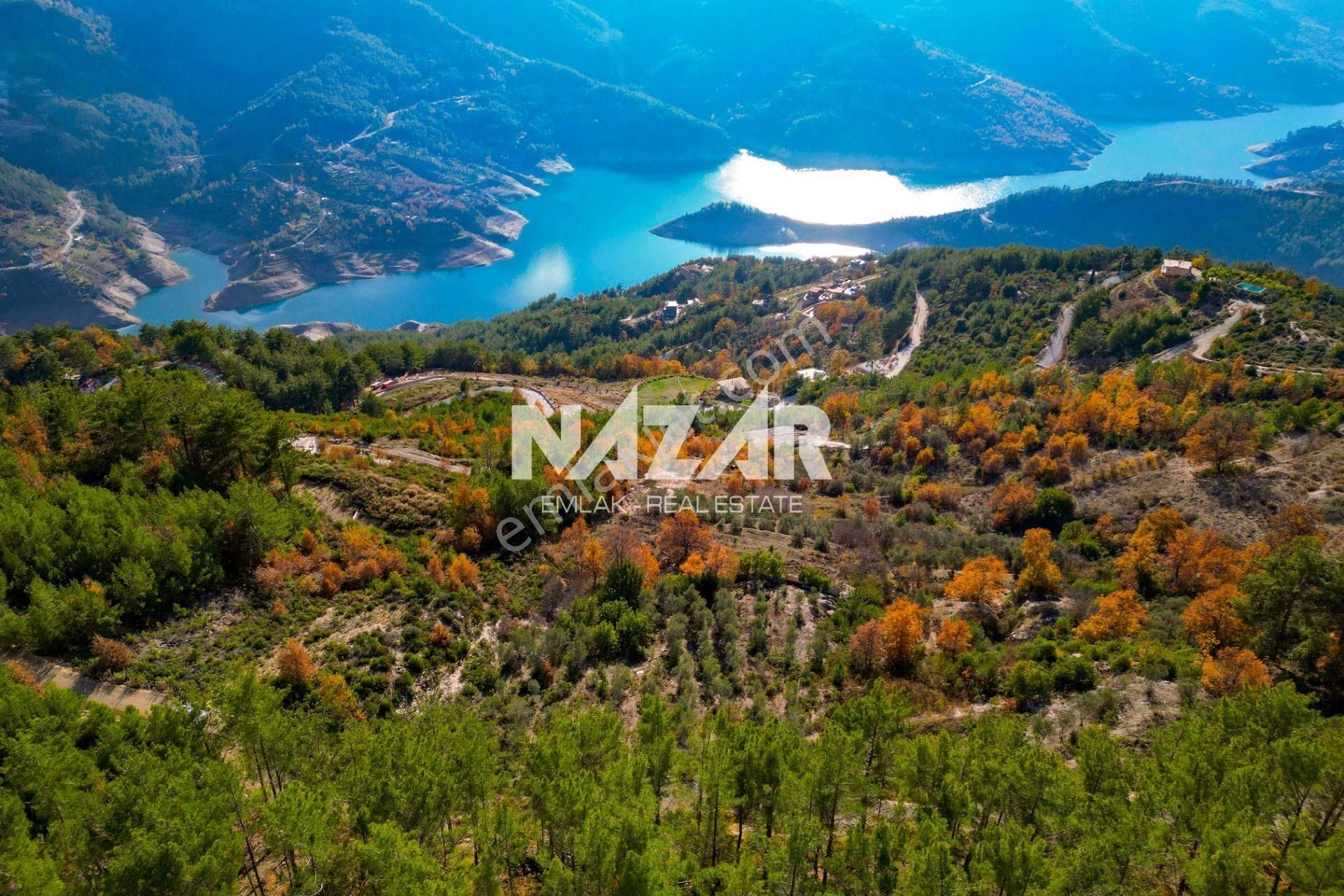 Alanya Üzümlü’de 3.257 M² Satılık Tarla – Zeytin Bahçesi - Görsel 11