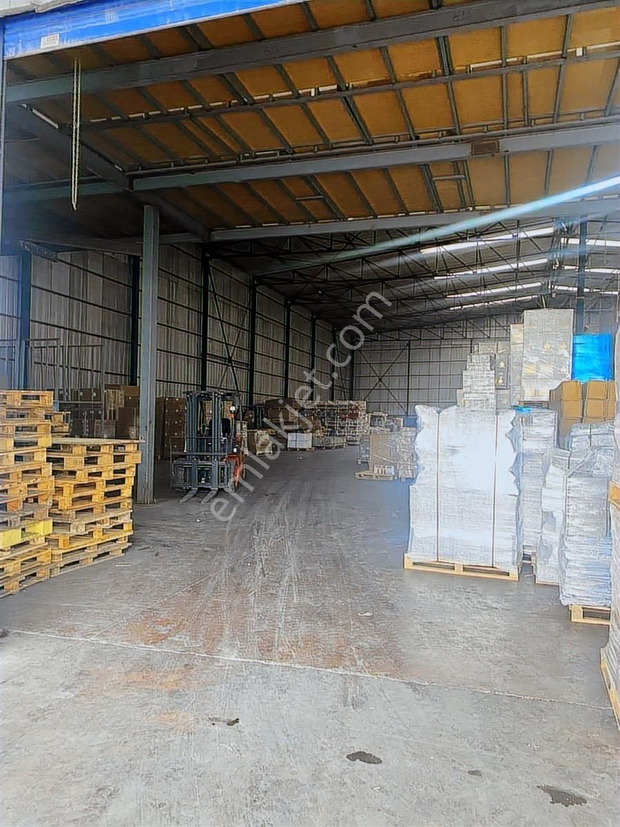 Tiyap Ticari Den Hadımköy Ömerli De Tır Yanaşır H:8 1150m2 Depo - Görsel 4